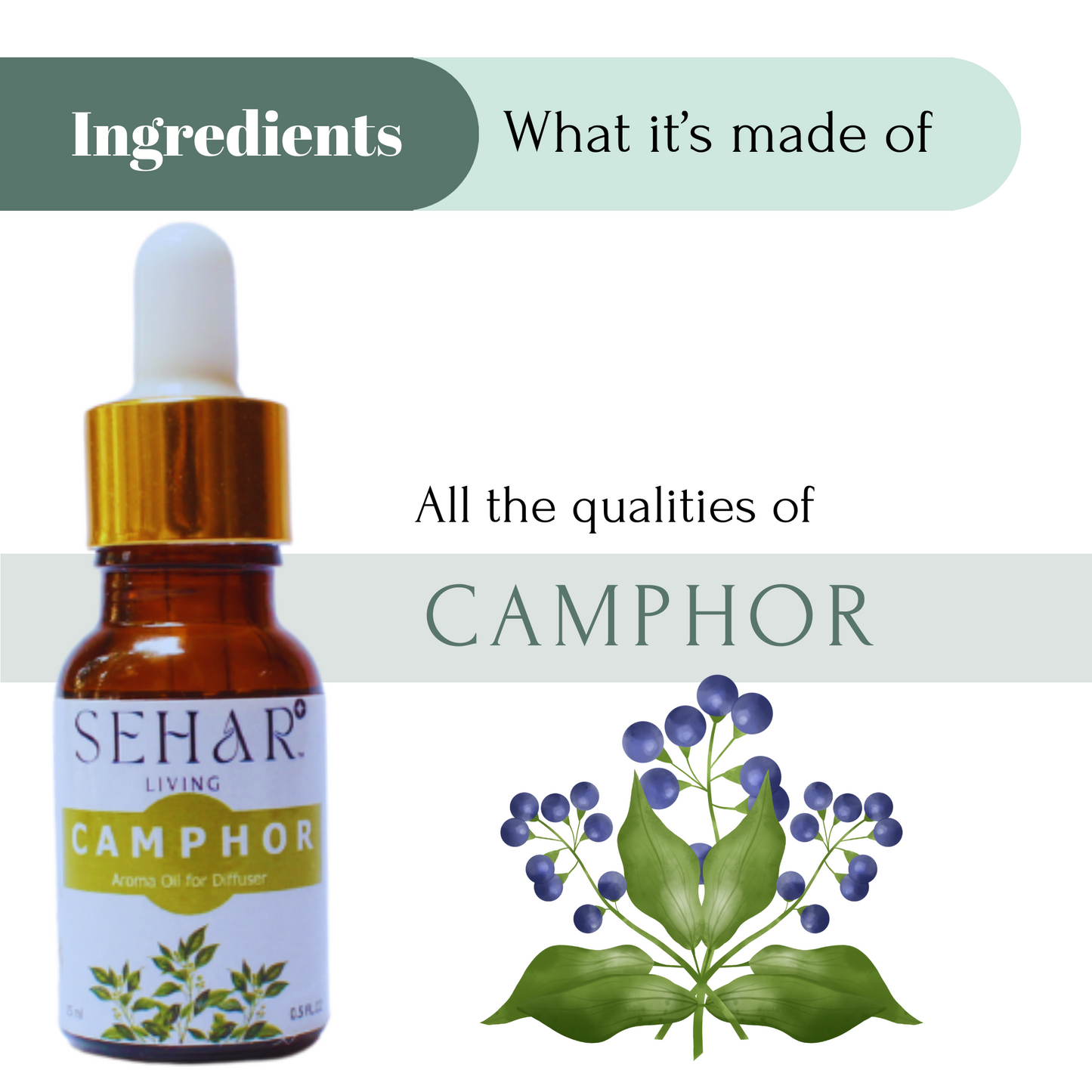 Aroma Diffuser Oil (Camphor)